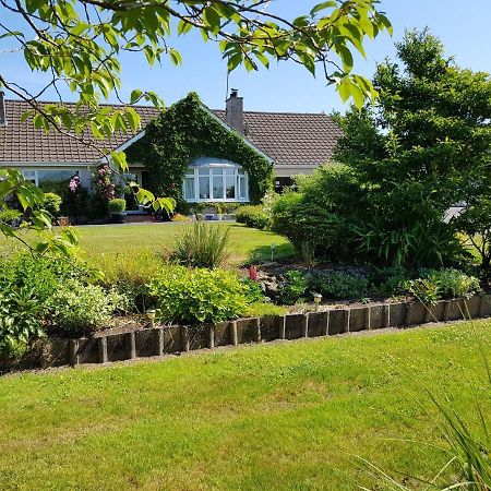 Meadow View B&B Ballymena Extérieur photo