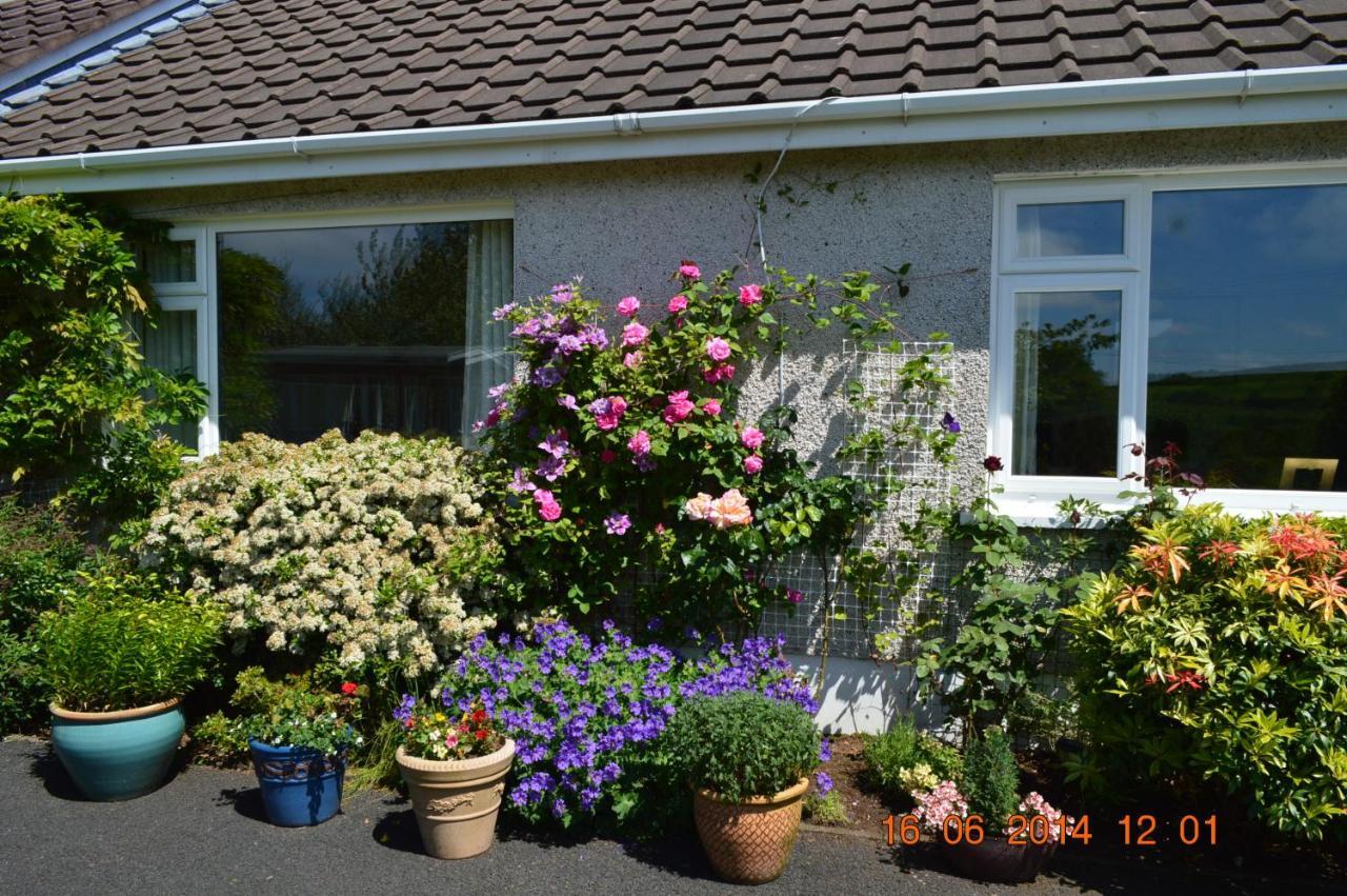 Meadow View B&B Ballymena Extérieur photo