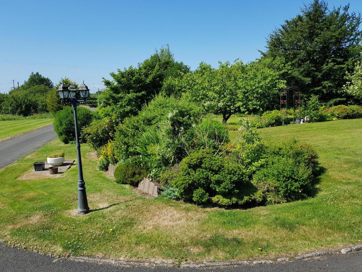 Meadow View B&B Ballymena Extérieur photo