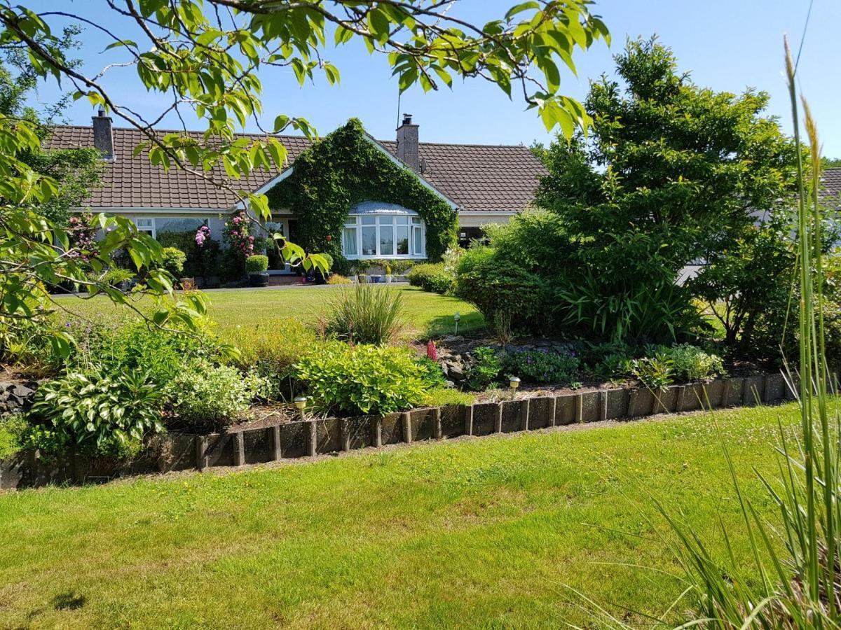 Meadow View B&B Ballymena Extérieur photo