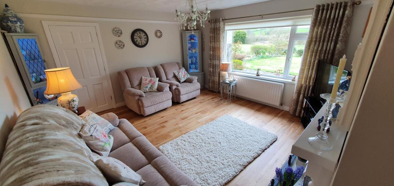 Meadow View B&B Ballymena Extérieur photo