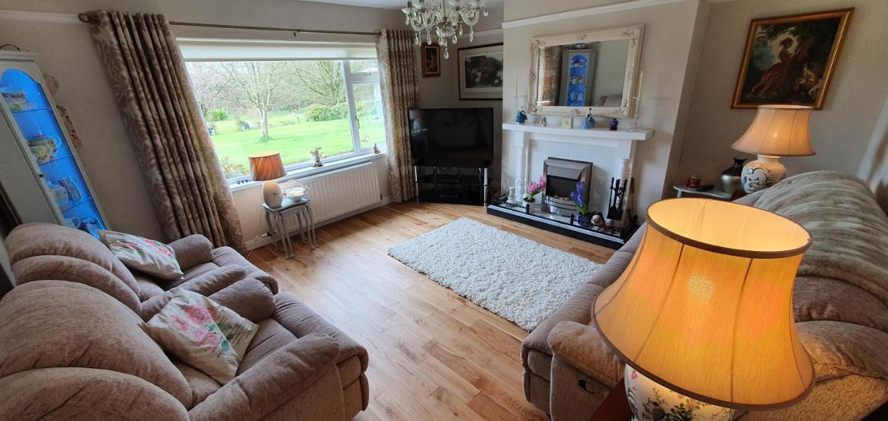 Meadow View B&B Ballymena Extérieur photo